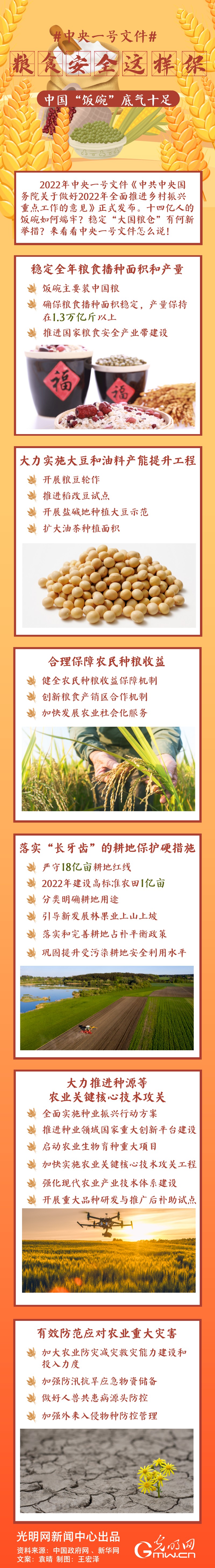 中央一號(hào)文件｜糧食安全這樣保，中國(guó)“飯碗”底氣十足