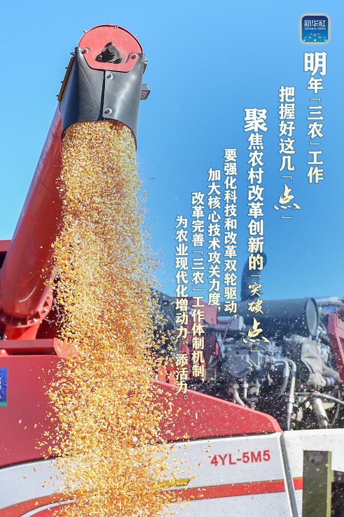 明年“三農(nóng)”工作，這幾個(gè)“點(diǎn)”要把握好