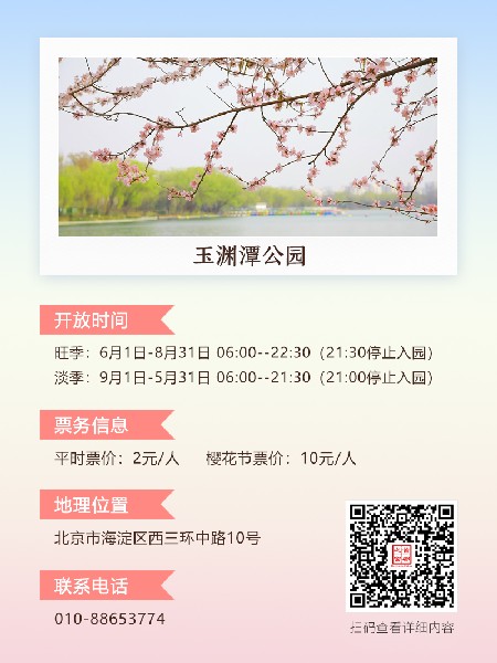 追花指南第三期！別等了 今天就去和桃花撞個滿懷