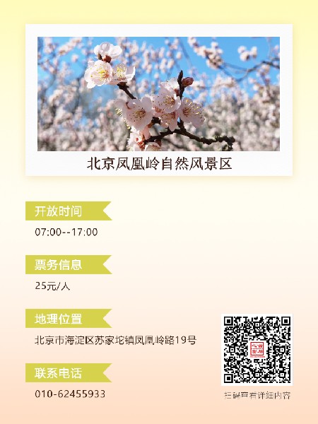 追花指南第六期！杏花雨 楊柳風(fēng) 北京最美的杏花在這里