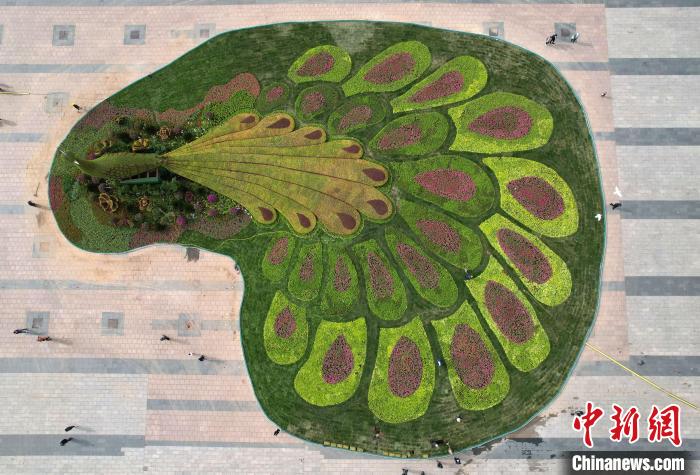 圖為航拍花壇。(無人機(jī)照片) 翟羽佳 攝