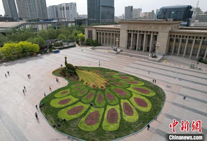 圖為航拍花壇。(無人機(jī)照片) 翟羽佳 攝