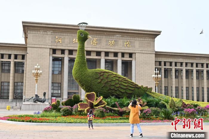 圖為游客在花壇前拍照打卡。　翟羽佳 攝