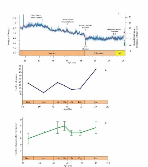 早始新世至早漸新世東亞嚙齒類屬級多樣性變化。　中科院古脊椎所 供圖
