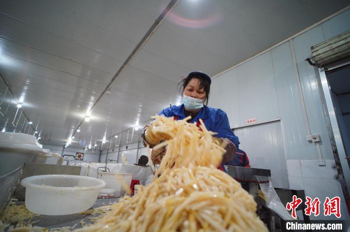 圖為一名工人正在處理切成條狀后的酸筍?！№f國政 攝