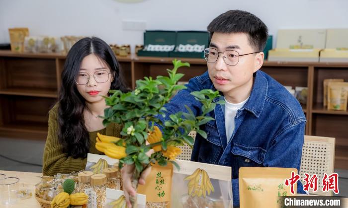 北山口村的佛手電商直播?！≈鬓k方供圖