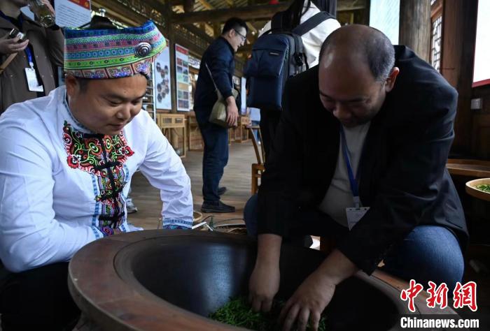 東盟國家媒體記者了解制茶工藝。　張卓 攝