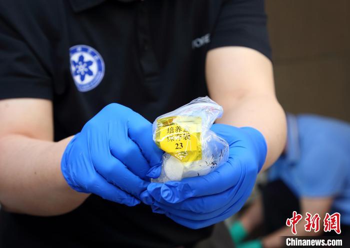 隨神舟十五號返回地面的空間科學(xué)實(shí)驗(yàn)樣品?！≈锌圃嚎臻g應(yīng)用中心 供圖