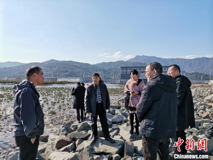 浙江海洋生態(tài)觀察：智慧大腦如何解鎖藍(lán)色發(fā)展密碼？