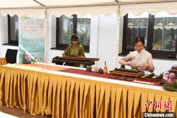 圖為余亞麗茶藝展示，王曉嬋古琴演奏 柏林中國(guó)文化中心供圖。