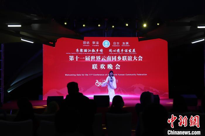 圖為第十一屆世界云南同鄉(xiāng)聯(lián)誼大會(huì)舉辦聯(lián)歡晚會(huì)?！〈抻澜?攝