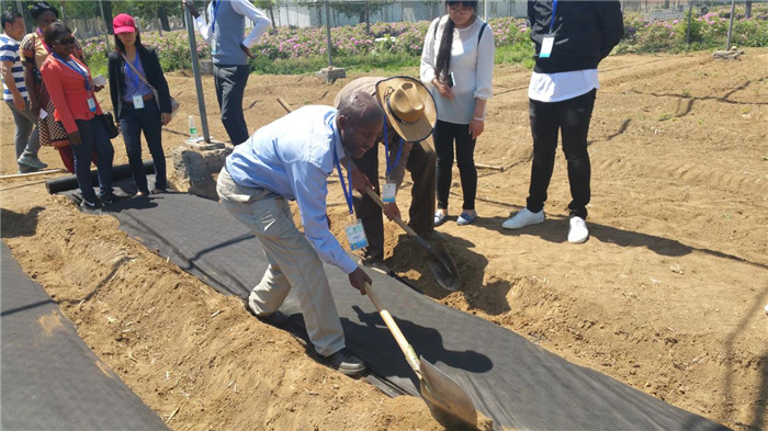 孫釗現(xiàn)場指導農(nóng)民耕種。受訪者供圖