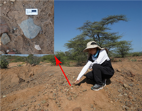 地層中的勒瓦婁哇石片。中肯聯(lián)合考古隊(duì)供圖