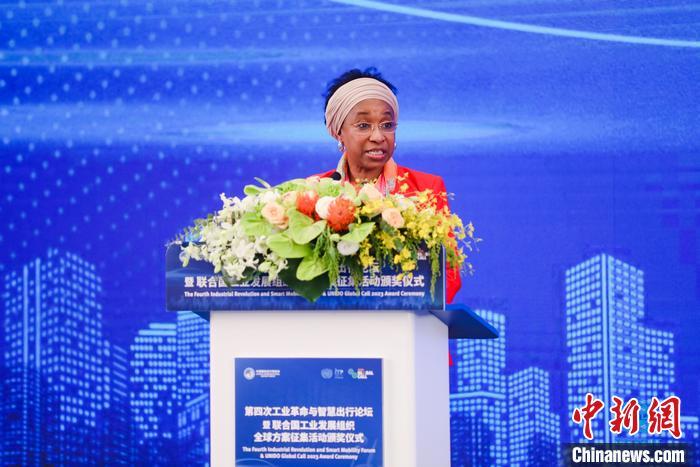 聯(lián)合國工業(yè)發(fā)展組織總干事代表兼執(zhí)行干事法圖 海達拉致辭。