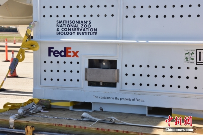 當(dāng)?shù)貢r(shí)間11月8日，美國(guó)華盛頓史密森學(xué)會(huì)國(guó)家動(dòng)物園的大熊貓“美香”“添添”和它們的幼崽“小奇跡”乘坐的專機(jī)從華盛頓杜勒斯國(guó)際機(jī)場(chǎng)起飛前往中國(guó)成都。圖為裝有大熊貓的特制“旅行箱”。<a target='_blank' href='/'><p  align=