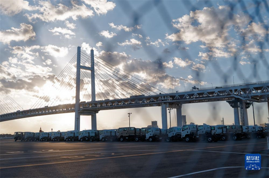 這是11月14日在日本橫濱拍攝的進(jìn)出口汽車集散場地。新華社記者 張笑宇 攝