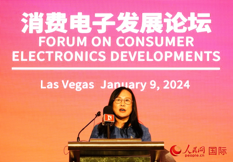 中國機(jī)電產(chǎn)品進(jìn)出口商會(huì)副會(huì)長劉春致辭。人民網(wǎng)記者 鄧圩攝