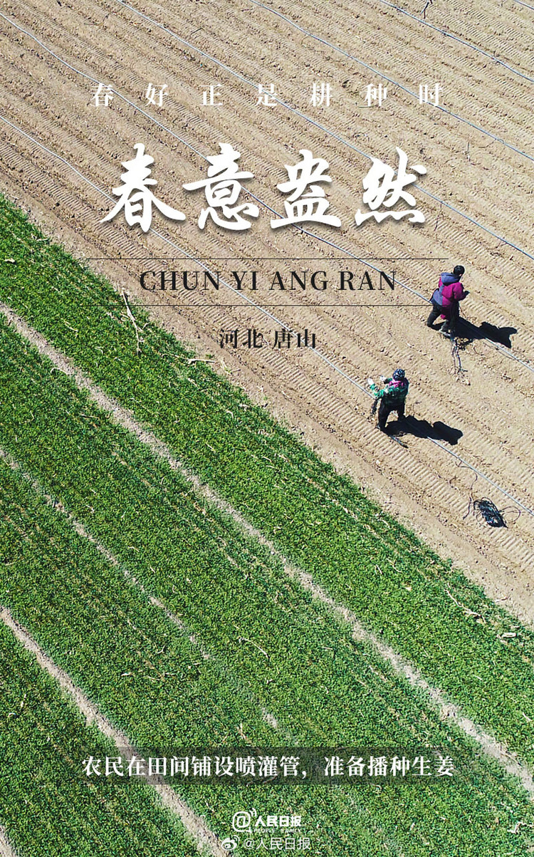 生機(jī)盎然！用課本封面打開(kāi)春耕畫(huà)卷