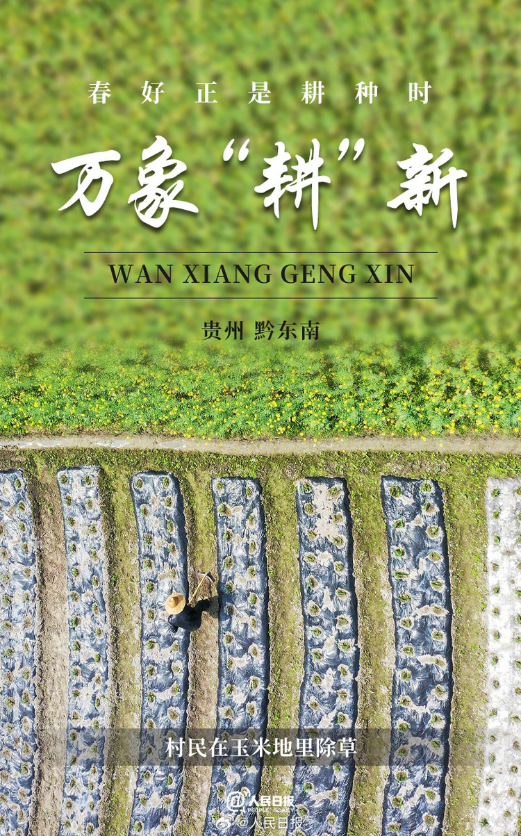 生機(jī)盎然！用課本封面打開(kāi)春耕畫(huà)卷