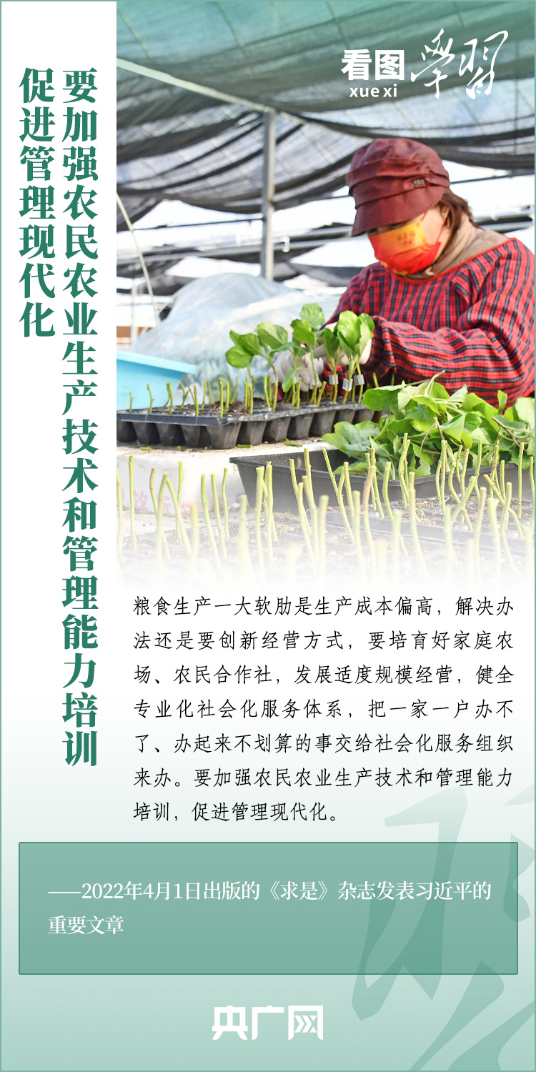 看圖學(xué)習(xí)丨推廣良田、良種、良法、良機(jī) 給農(nóng)業(yè)現(xiàn)代化插上科技的翅膀