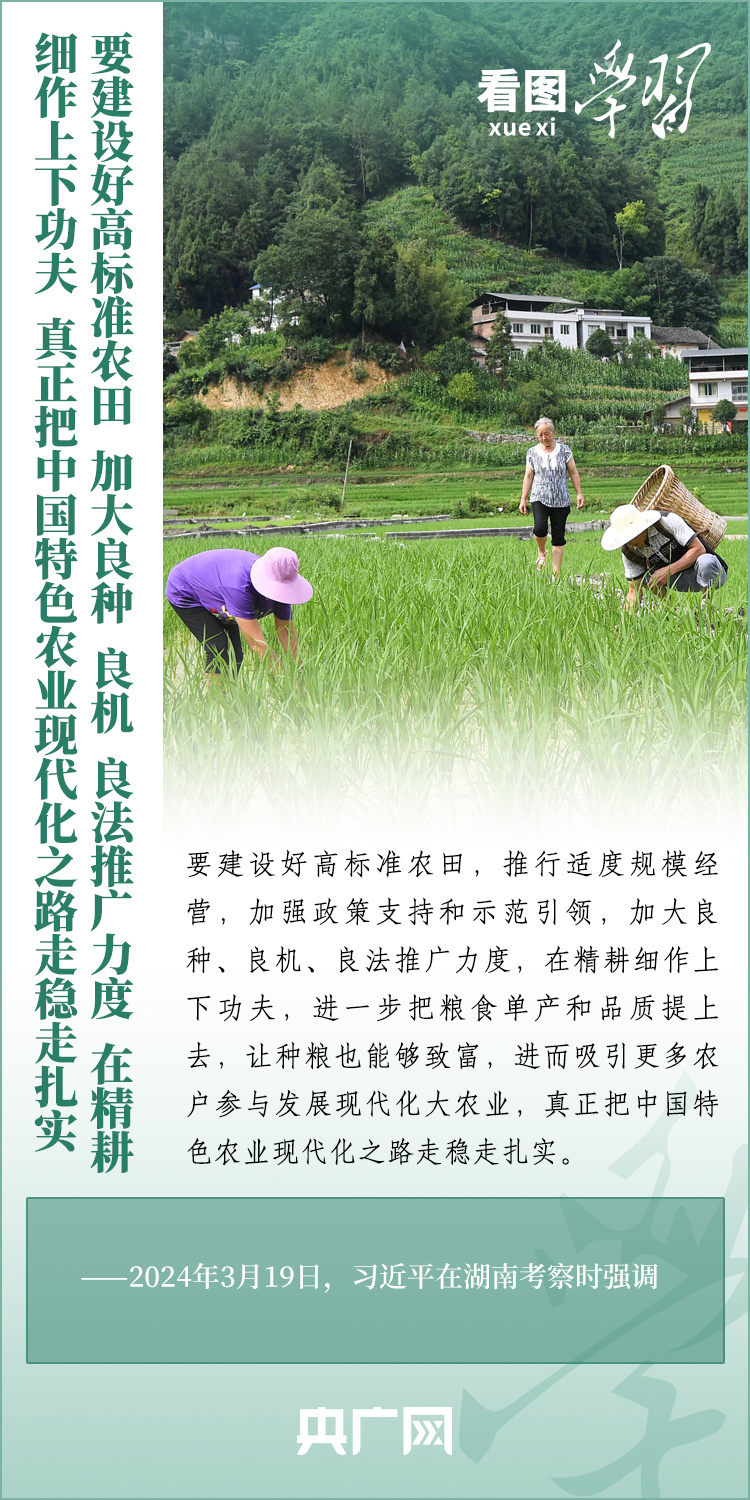 看圖學(xué)習(xí)丨推廣良田、良種、良法、良機(jī) 給農(nóng)業(yè)現(xiàn)代化插上科技的翅膀