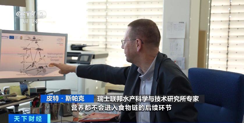 瑞士多個湖泊遭外來物種夸加貽貝入侵 生態(tài)系統與基礎設施遭破壞