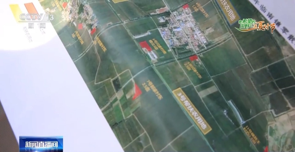 “三夏”生產(chǎn)思維導(dǎo)圖安排上了！還有政府大院等你來“曬”