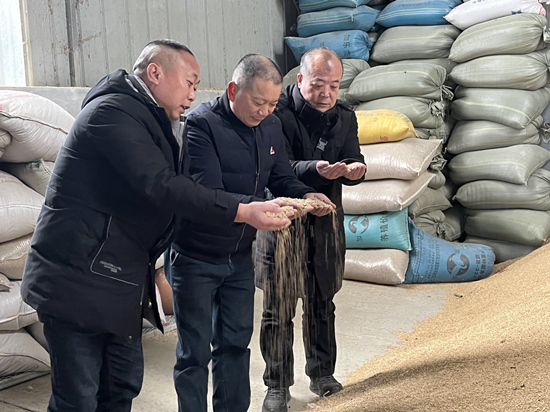 桃江種糧大戶與農村農業(yè)局技術人員正在查看春耕種子情況。受訪單位供圖