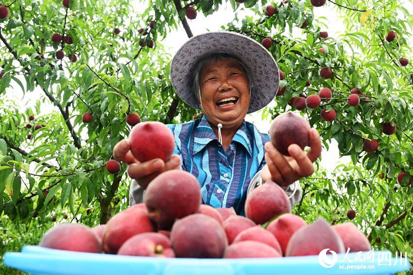 豐收的喜悅。蘭自濤攝