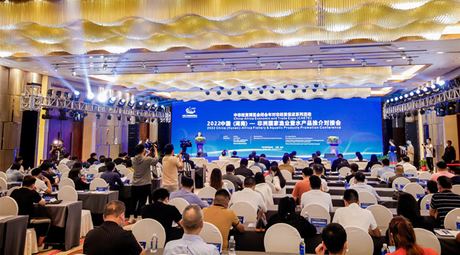 對接會現(xiàn)場。湖南省商務(wù)廳供圖