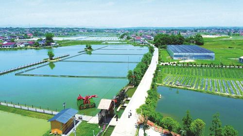 近年來，大成橋鎮(zhèn)堅持加強黨對鄉(xiāng)村治理的集中統(tǒng)一領(lǐng)導(dǎo)，該鎮(zhèn)鄉(xiāng)村治理模式入選第二批全國鄉(xiāng)村治理典型案例。圖為美麗的大成橋鎮(zhèn)。（資料圖片）