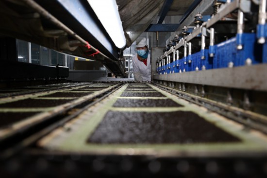 柘汪紫菜產業(yè)園內入駐企業(yè)的紫菜生產線。贛榆區(qū)委宣傳部供圖