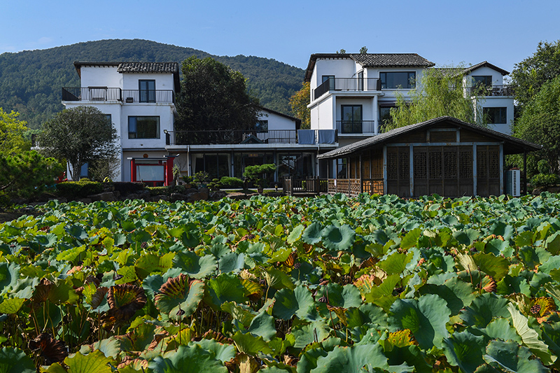 雨悅山房負(fù)責(zé)人原來(lái)在馬達(dá)加斯加打理酒店，之所以“從馬達(dá)加斯加到肥東”，源于對(duì)家鄉(xiāng)民宿前景看好。吳芳攝