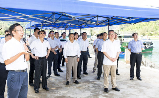 2019年6月21日上午，省長沈曉明率省政府班子成員在三亞鐵爐港調(diào)研項目規(guī)劃建設情況。海南日報記者 宋國強 攝