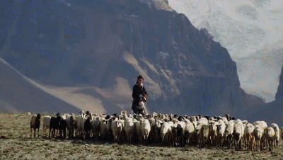 你看了嗎？藏語(yǔ)版《日光之城》“含金量”還在上升！