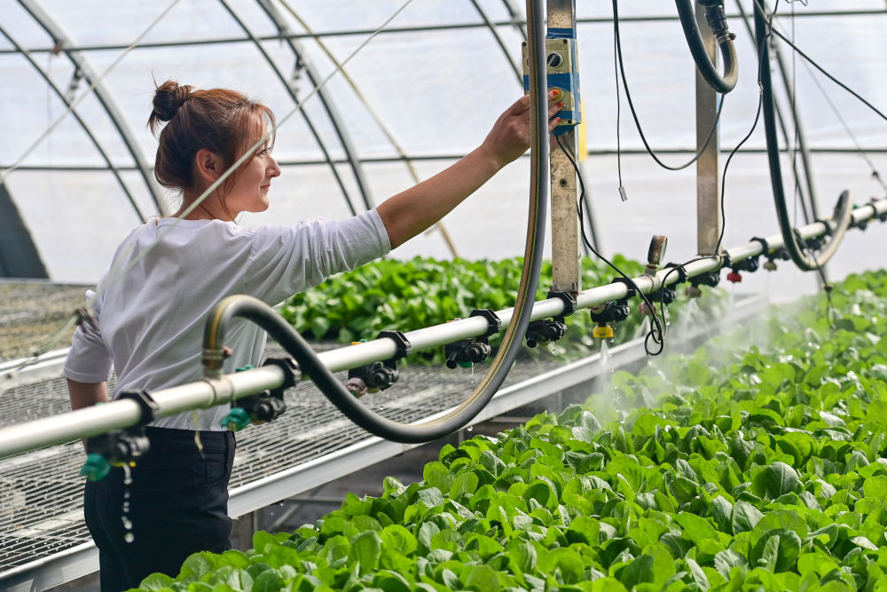 牢牢守住不發(fā)生規(guī)模性返貧致貧底線(xiàn)——西部脫貧地區(qū)“5年過(guò)渡期”一線(xiàn)觀察
