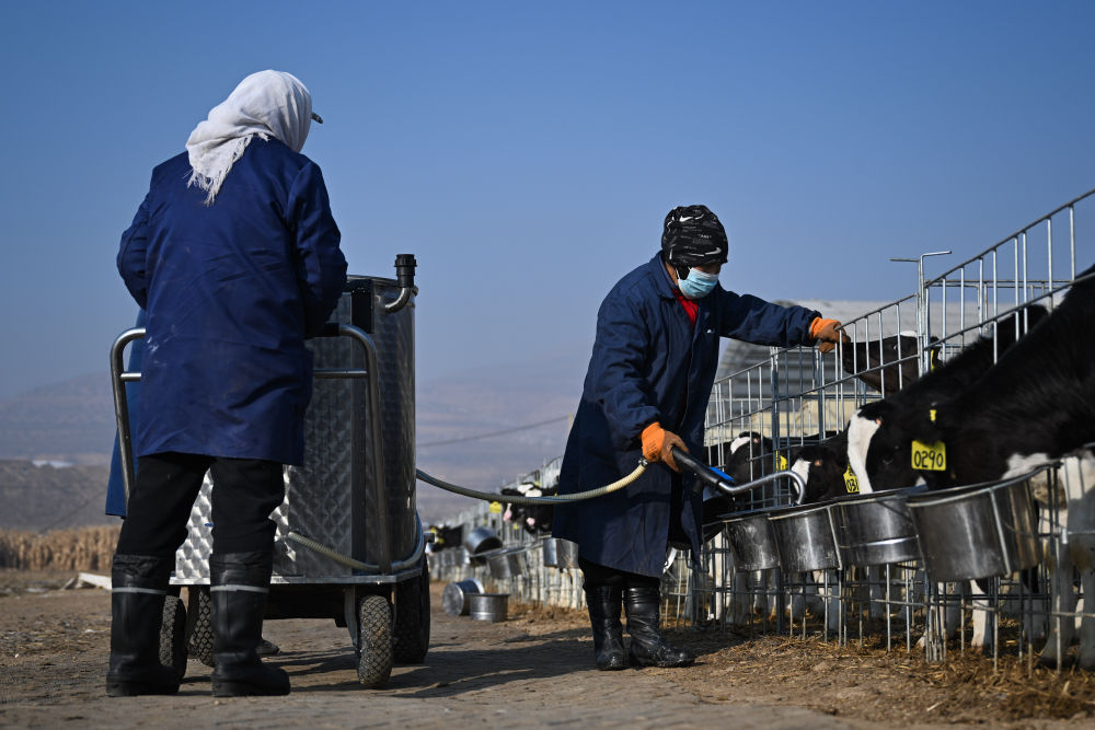 牢牢守住不發(fā)生規(guī)模性返貧致貧底線(xiàn)——西部脫貧地區(qū)“5年過(guò)渡期”一線(xiàn)觀察