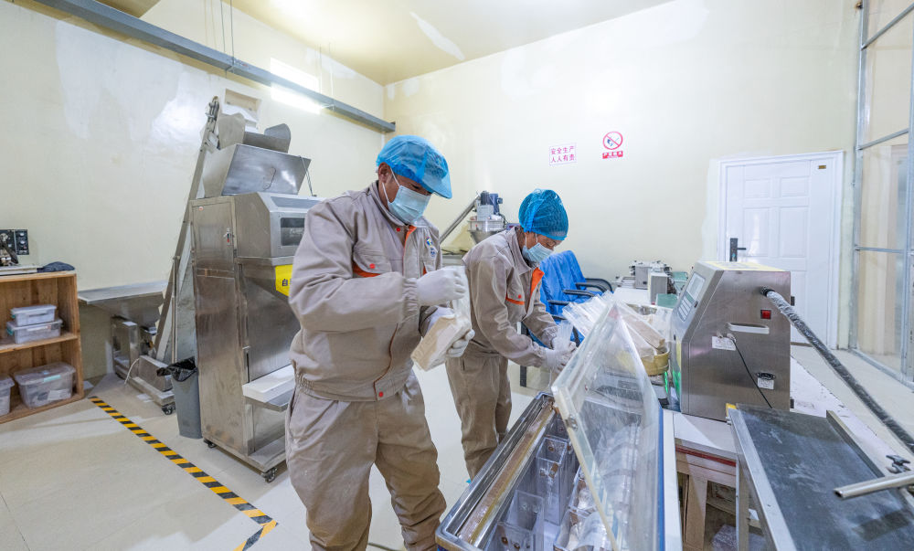 牢牢守住不發(fā)生規(guī)模性返貧致貧底線(xiàn)——西部脫貧地區(qū)“5年過(guò)渡期”一線(xiàn)觀察