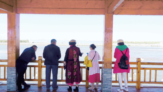 湟魚洄游奇觀吸引游人。