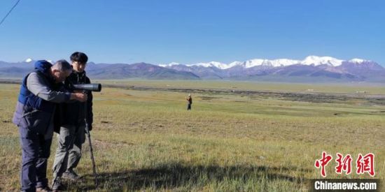 圖為工作人員正在進(jìn)行黑頸鶴衛(wèi)星跟蹤和環(huán)志工作?！∑钸B山國(guó)家公園青海省管理局供圖 攝