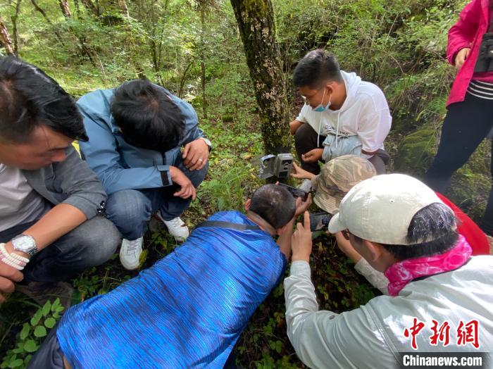 圖為訪客正在查看紅外相機中的拍攝畫面。　李江寧 攝