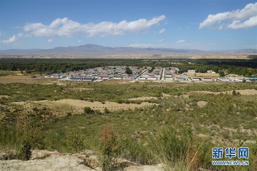 （決戰(zhàn)決勝脫貧攻堅(jiān)·圖文互動(dòng)）（2）高原鄉(xiāng)鎮(zhèn)沙珠玉 治沙斗貧成“綠?！薄嗪Ｊ」埠涂h沙珠玉鄉(xiāng)采訪見聞