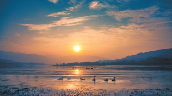 黃河冬之晨。