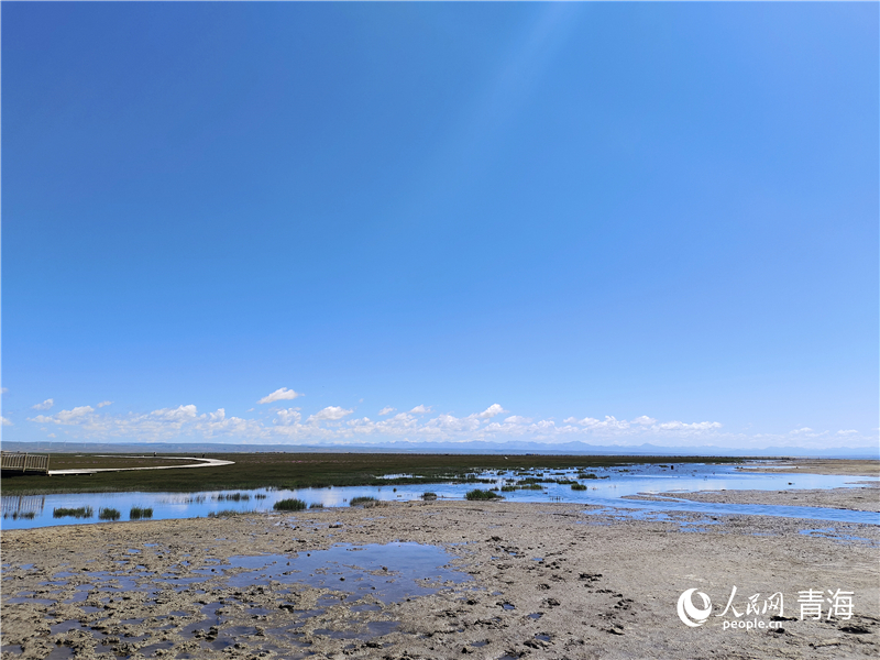   青海湖仙女灣。人民網(wǎng) 張莉萍攝