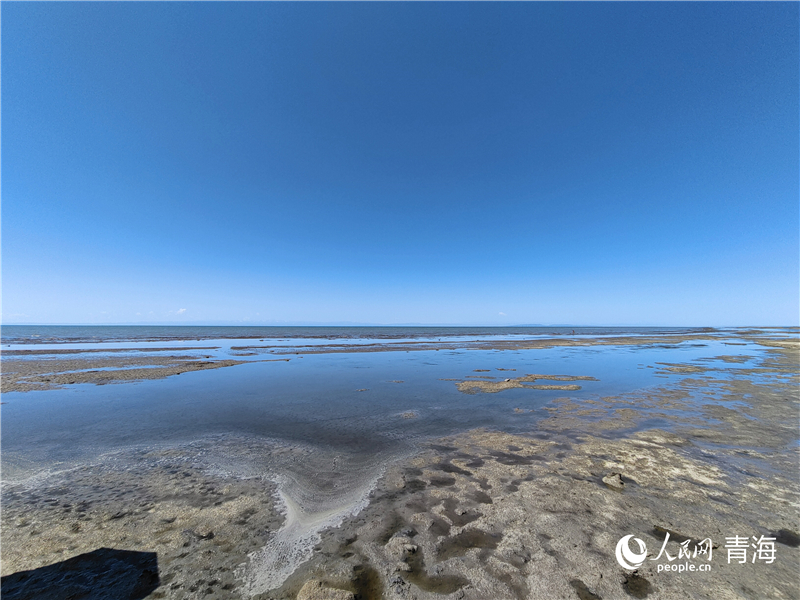   青海湖仙女灣。人民網(wǎng) 張莉萍攝