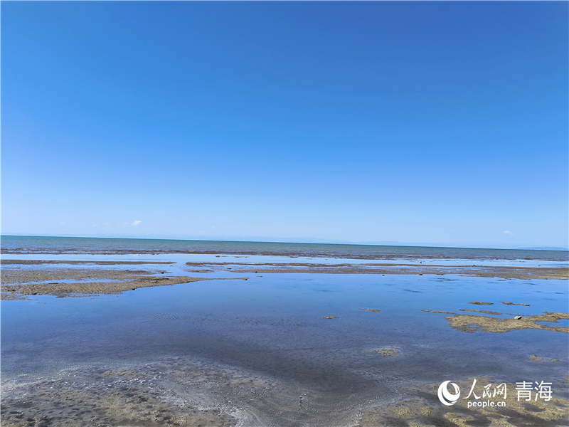   青海湖仙女灣。人民網(wǎng) 張莉萍攝