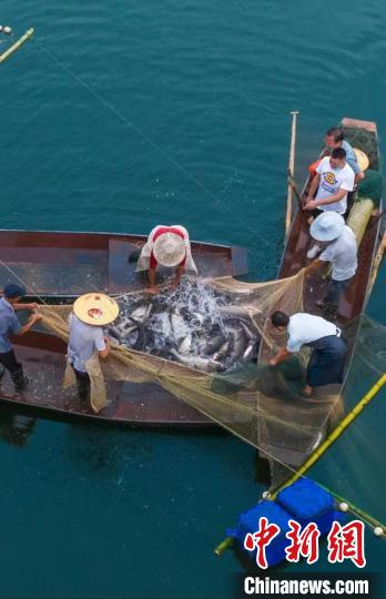 捕魚現(xiàn)場?！≈鬓k方供圖