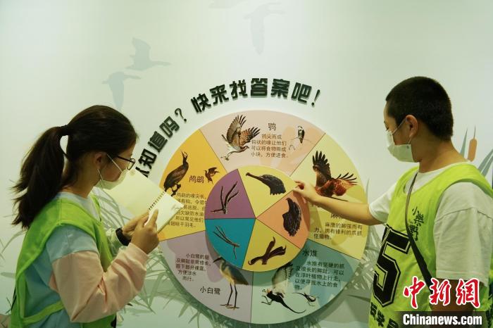 圖為小朋友在青海西寧湟水國家濕地公園科普館內(nèi)參觀學(xué)習(xí)。　馬銘言 攝
