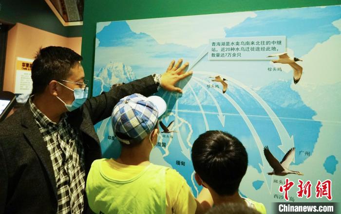 圖為小朋友在青海西寧湟水國家濕地公園科普館內(nèi)參觀學(xué)習(xí)?！●R銘言 攝