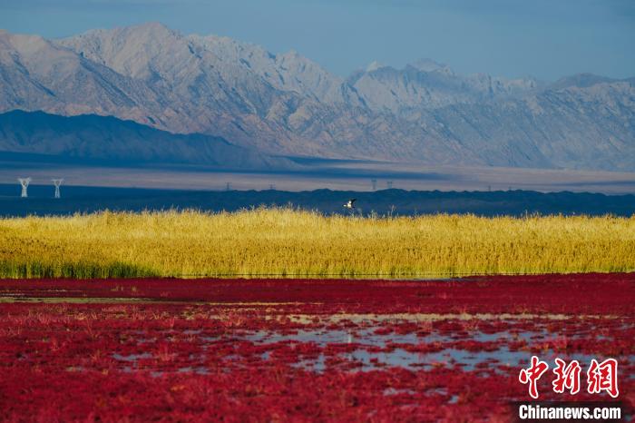 圖為柴達木盆地可魯克湖?！」?攝